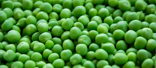 Peas 2018