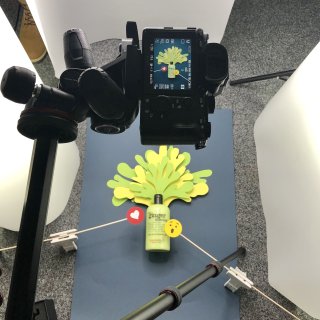Treaclemoon Produktion